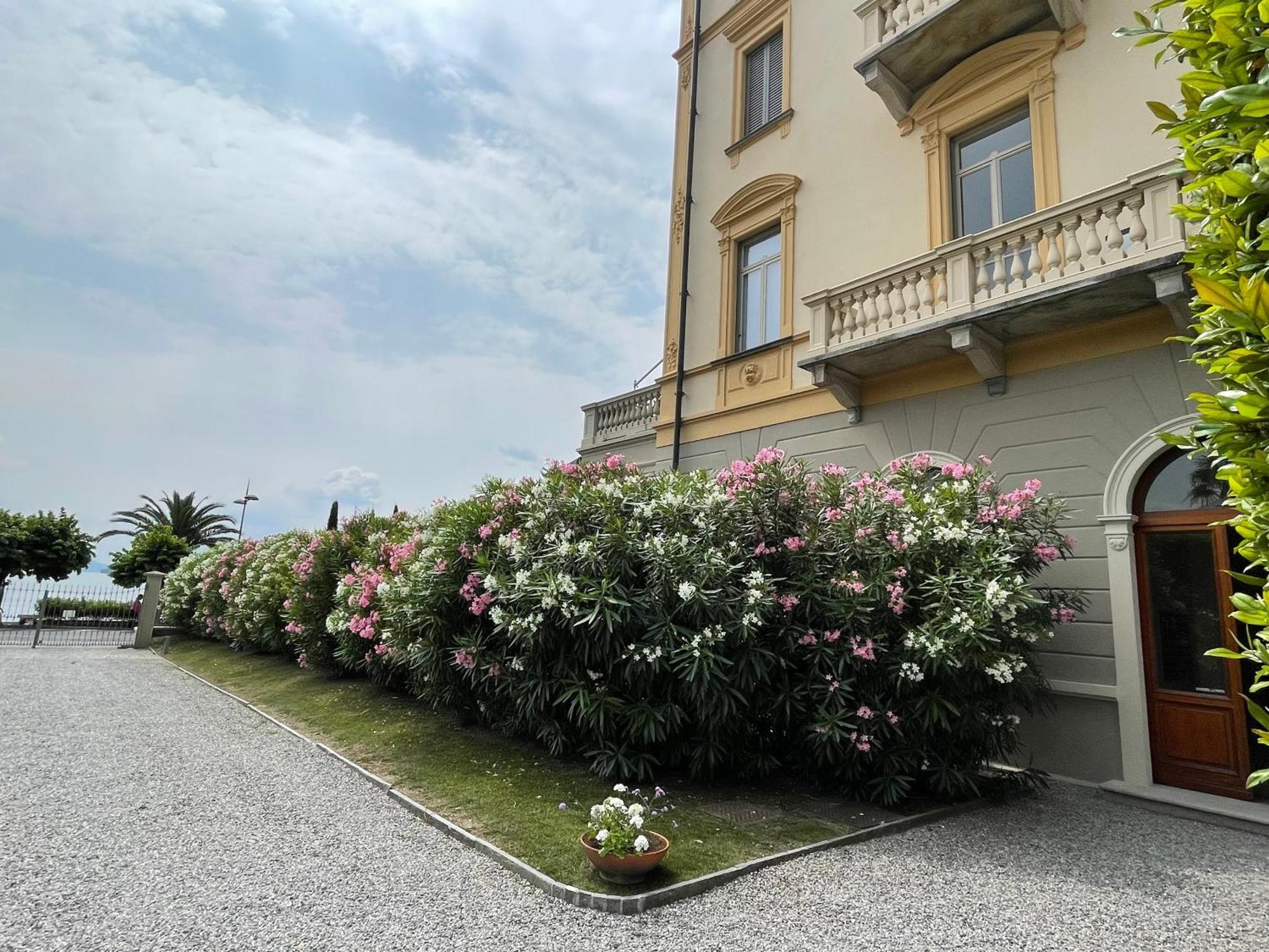 Apartamento Residenza Victoria Menaggio Exterior foto